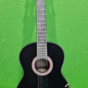 Guitarra Electroacústica Juan Miguel Navarrez